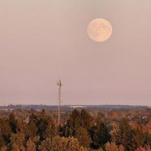 ����: ������� ����������