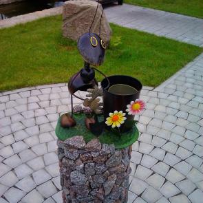 ����: �������