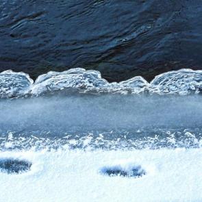 ����: ������ �������