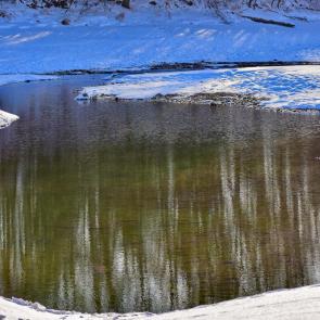 ���� ��������: �������������