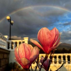 ����: ����� ��������