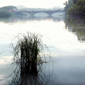 ����: �������� ����