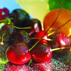 ���� ��������: 