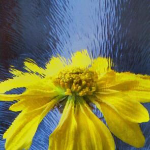 ����: ��� ����� �����