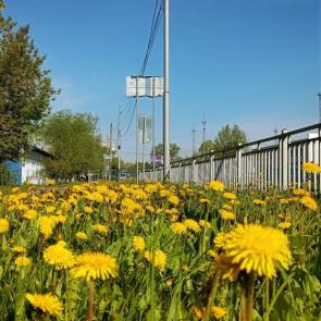 ����: ����������