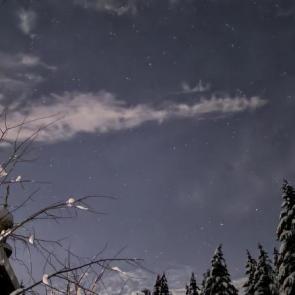 ����: ���������