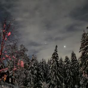 ����: ����