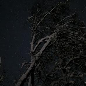 ����: ����