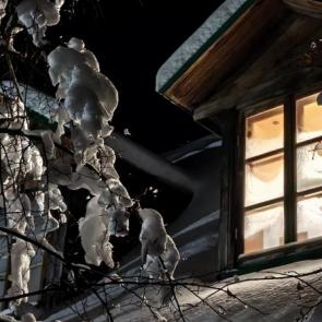 ����: ���������