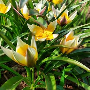 ����: ��������