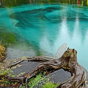 ����: ����� ��� ������.