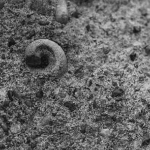 ����: ������� � �����