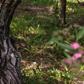 ����: � ������ ������� 