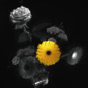 ����: Ƹ���� �������.