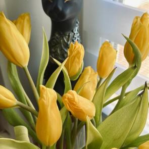 ����: ��� �����