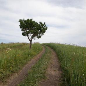 ����: ��������...� ������