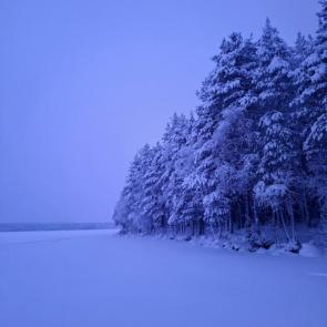 ����: ������ ����� �������