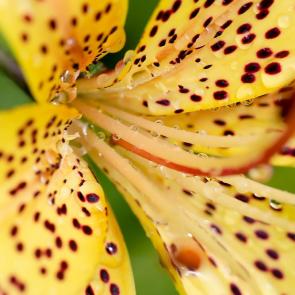 ����: ����� � ������ �����