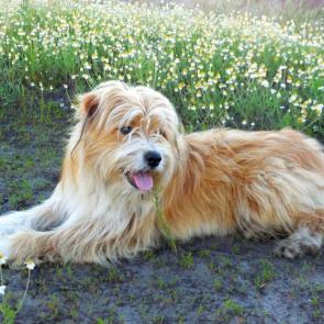 ����: ������ � �������