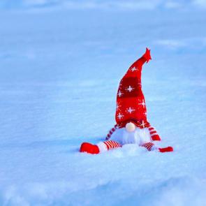 ���� ��������: ������� ��, ��������. 