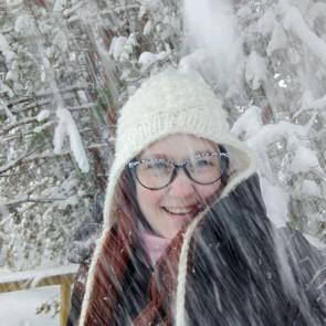 ����: ��������