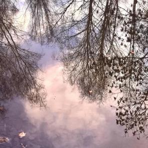 ����: ��������� � ����