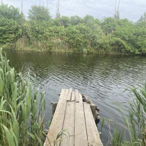 ���� ��������: �������� ����