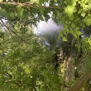 ����: ����� � ������ 