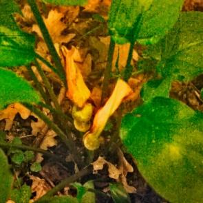 ����: �������� � ������ ������ 6