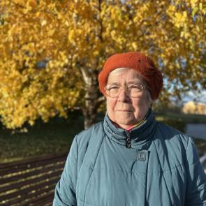 ����: ������� ����