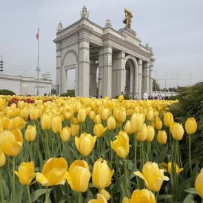 ����: ������ ��������