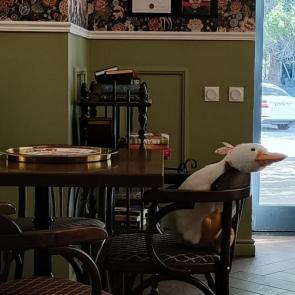 ����: � �������� 