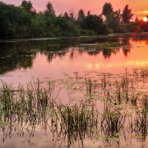 ����: �� �������� ������