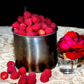 ����: ������ � ����