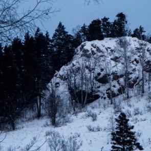 ����: ������ ������