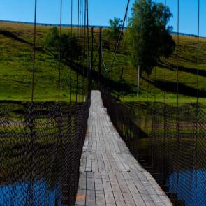 ����: ������