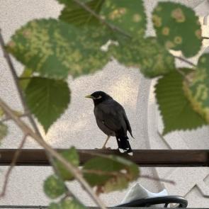 ����: ����� � �����