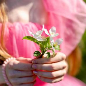 �������� ������� ����