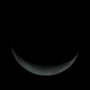 ����: ����