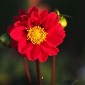 ����: �������� ��������...