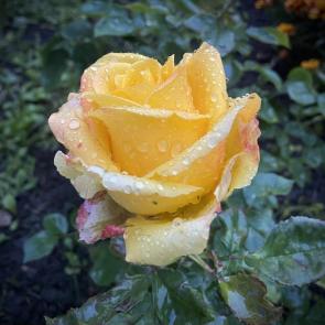 ����: �������� ����, ������ �����! 