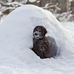 ����: � � ������