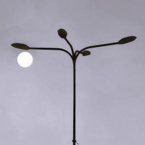 ����: ������ ������