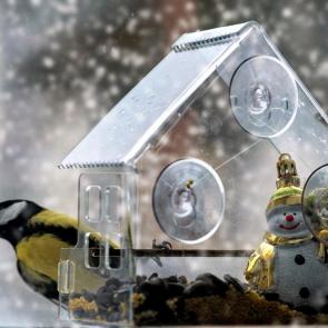 �������� ������