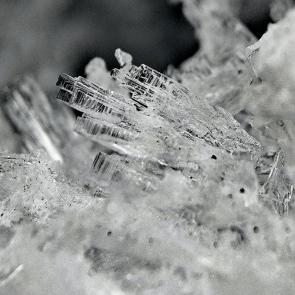 ����: �������