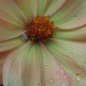 ����� �������� � ������� �����