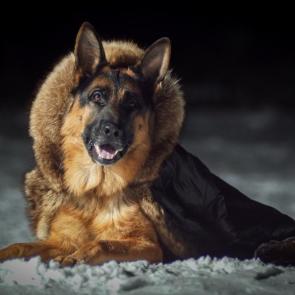 ���������� ������