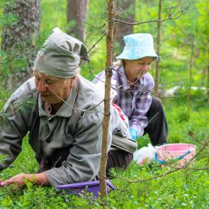 ������� �������