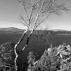 ���� ��������: 