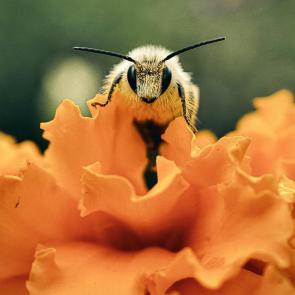 ����: ������